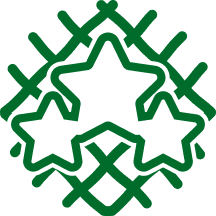elevatostandard