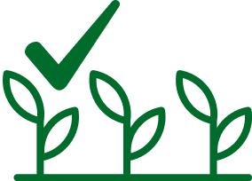 germinazione