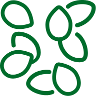 sementi